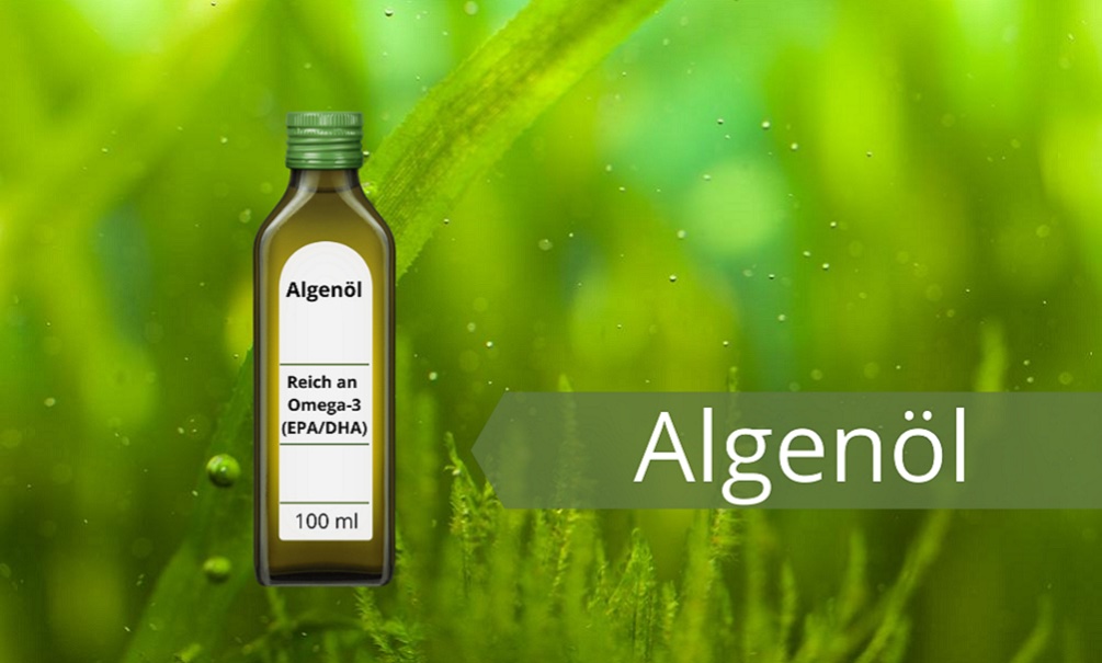 Algenöl