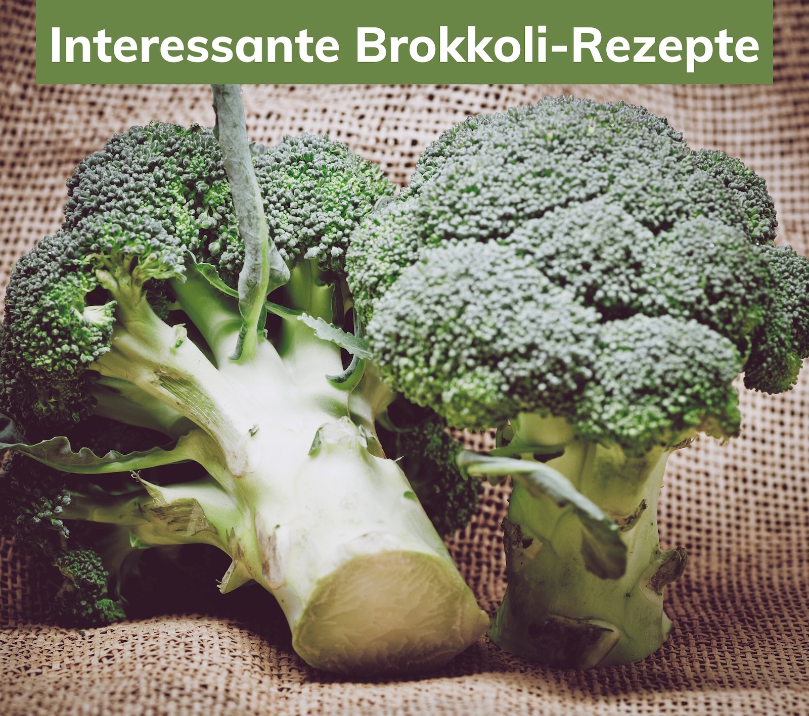 Brokkoli-Rezepte