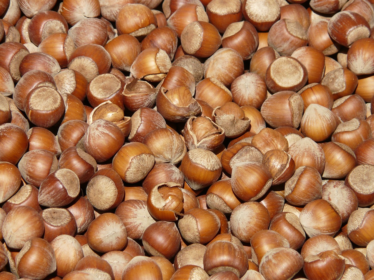 Haselnussallergie - Bedeutung, Ursachen, Lebensmitteltabelle, Ratgeber