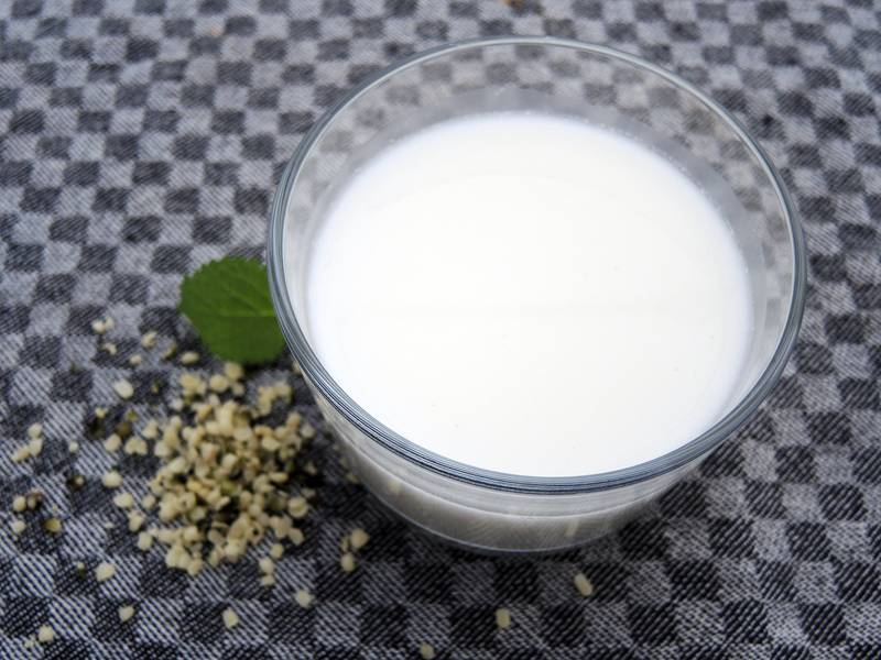 Hanfmilch selber machen