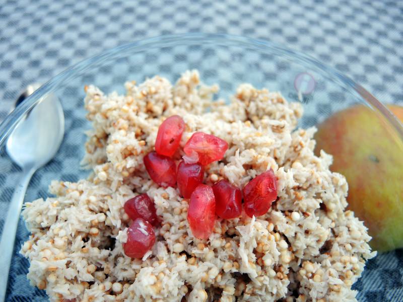 Frühstücksbrei mit Kokosraspeln fructosefrei glutenfrei