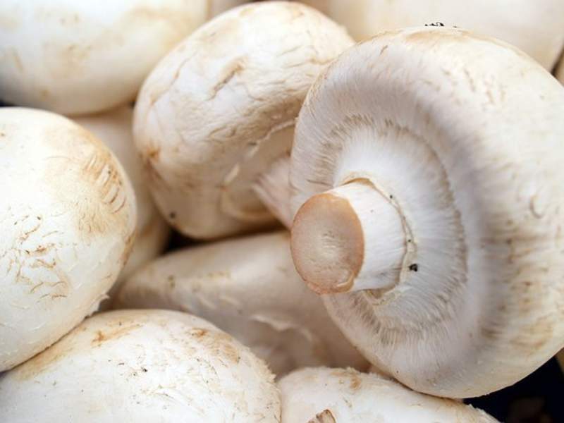 Champignons mit Tomaten gefüllt