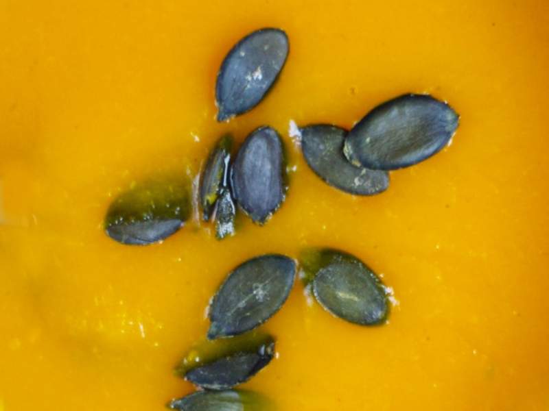 Orangen-Kürbissuppe mit Möhren