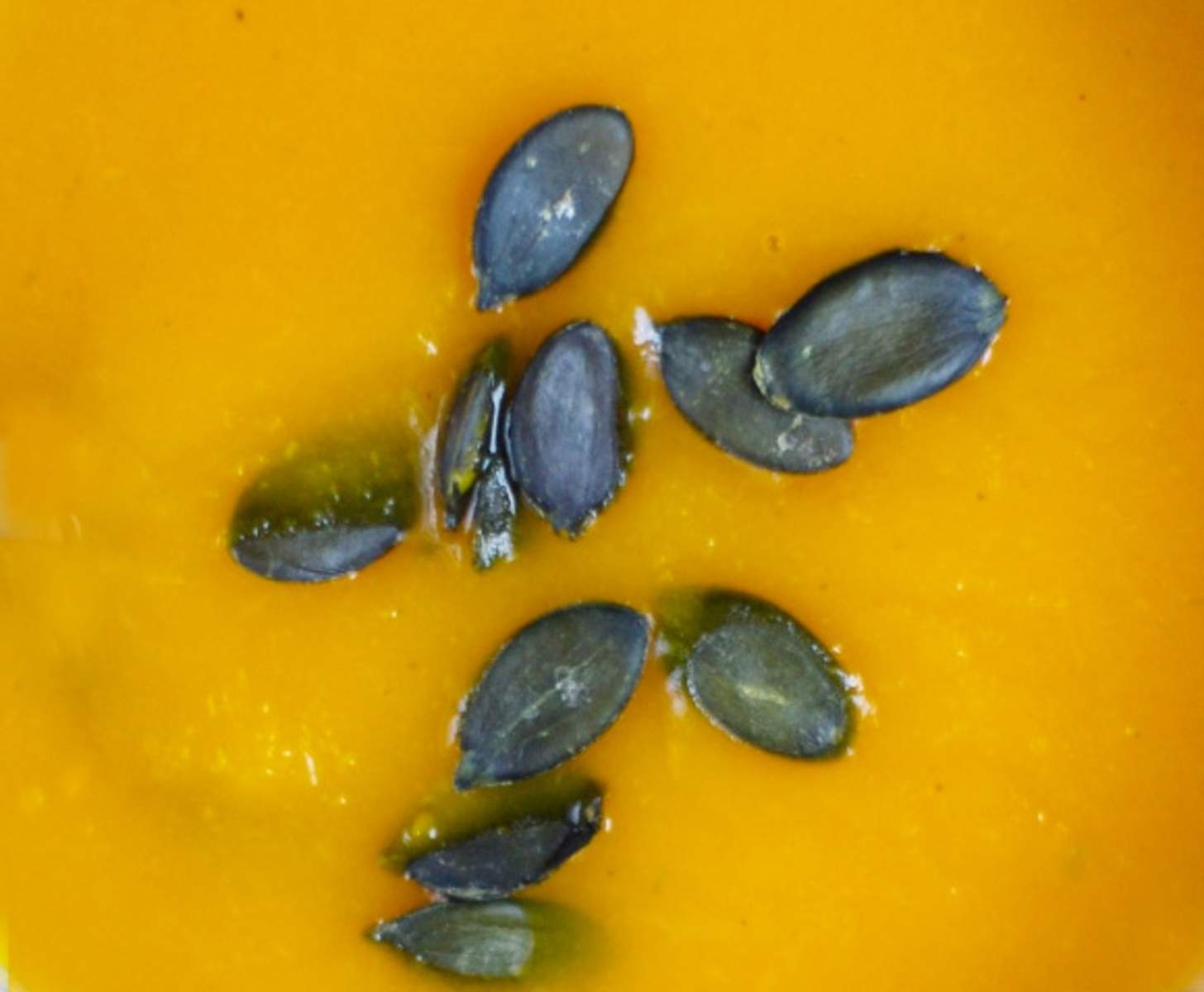 Orangen-Kürbissuppe mit Möhren Bild