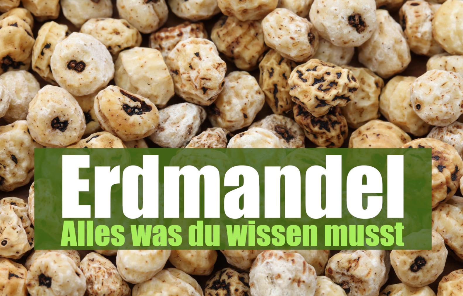 Erdmandel - Alles was du wissen musst