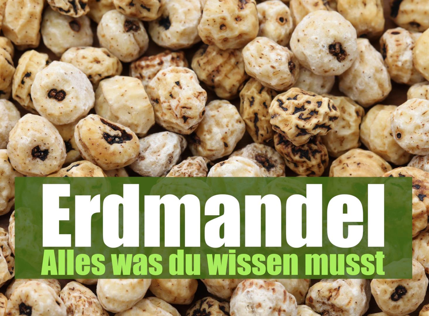 Erdmandel