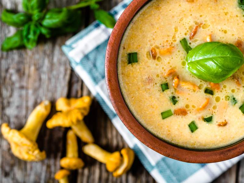 Möhrensuppe mit frischen Pfifferlingen