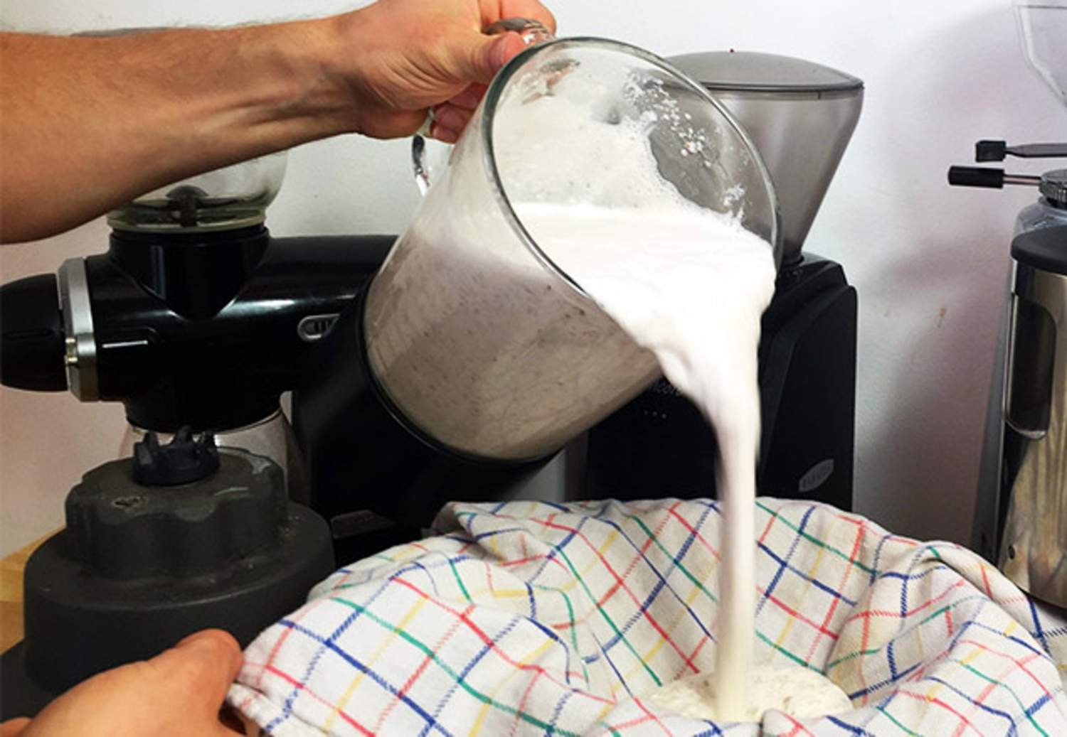 Haselnussmilch selber machen Bild