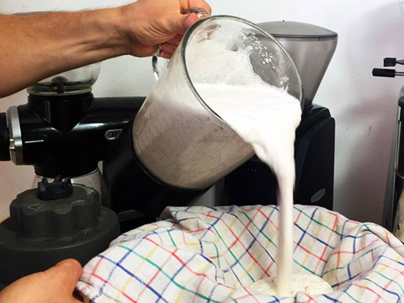Haselnussmilch selber machen