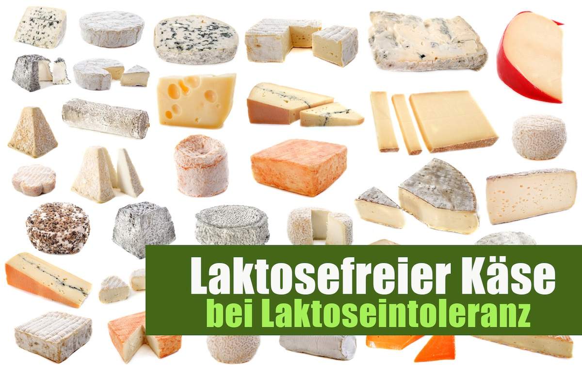 Laktoserfreier Käse