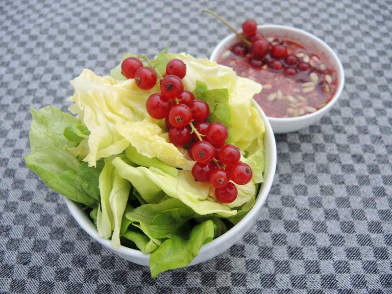 Johannisbeer-Salatdressing ohne Essig