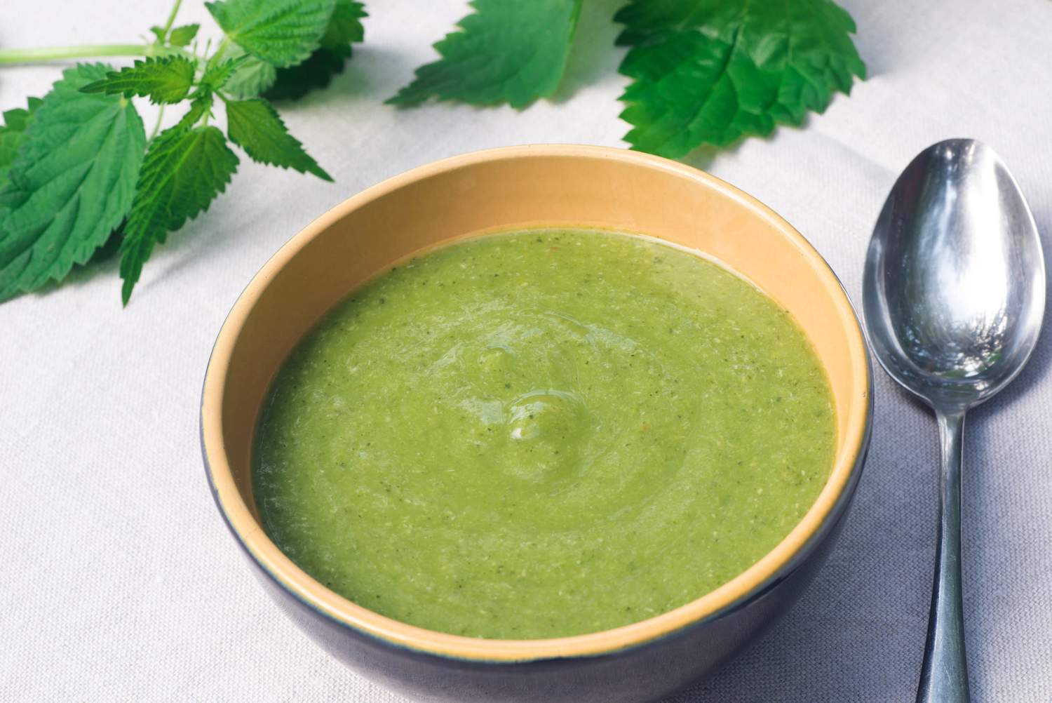 Brennesselsuppe Bild