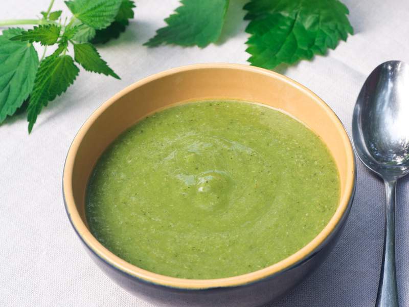 Brennesselsuppe