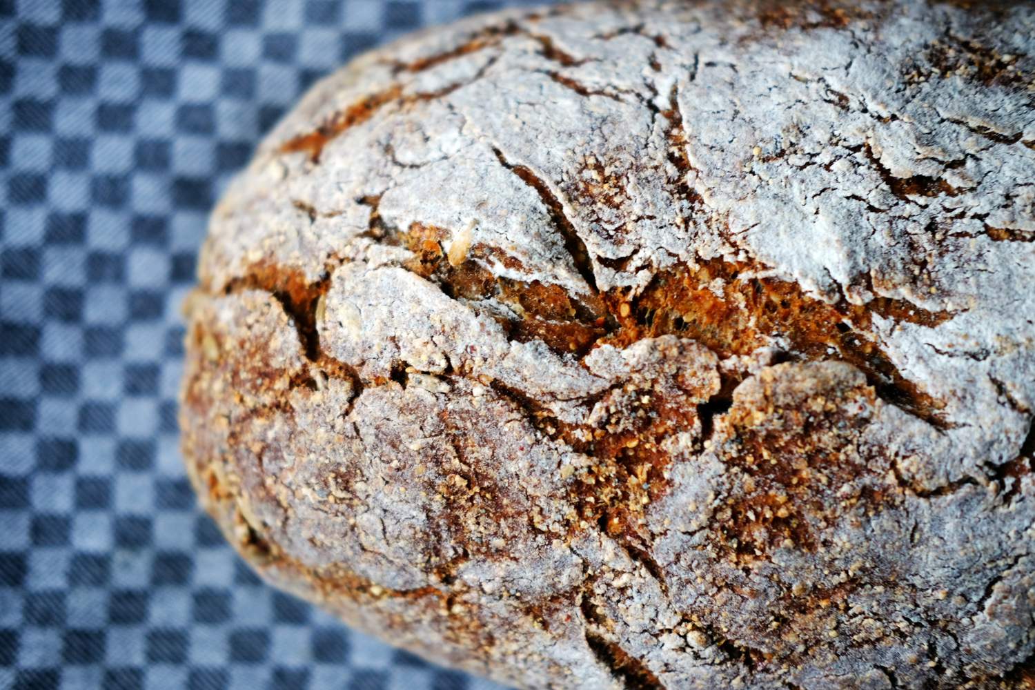 Quinoa-Brot glutenfrei Bild