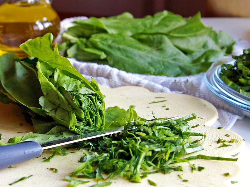 Sauerampfer-Dressing