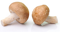 Eisenhaltig: Champignon
