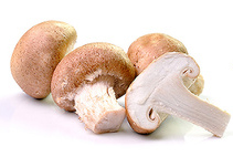 Eisenhaltig: Steinpilz