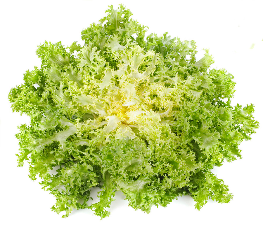 Friséesalat