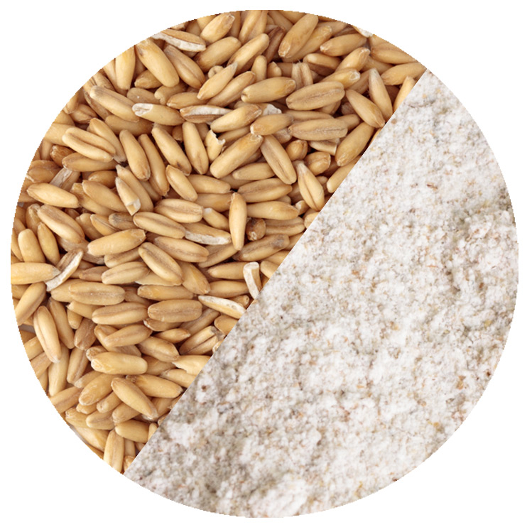 glutenfreies Hafermehl