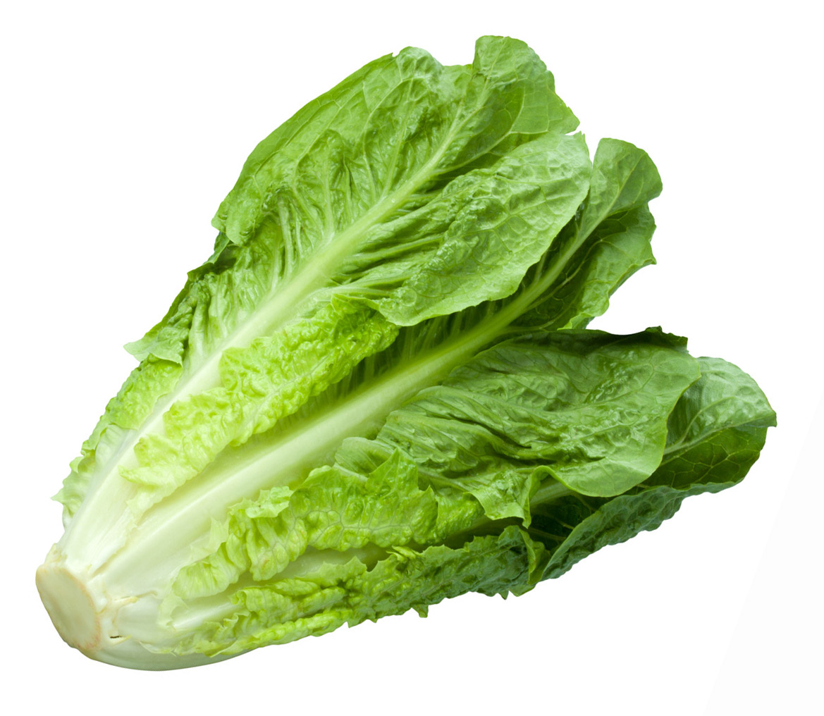 Römersalat