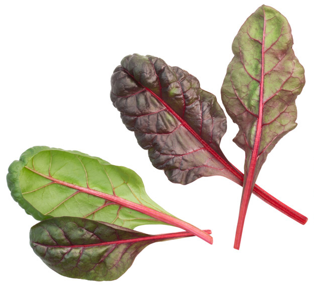 Roter Mangold