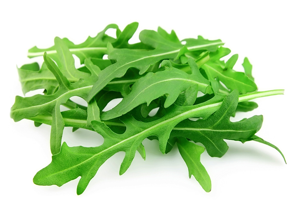 Rucola